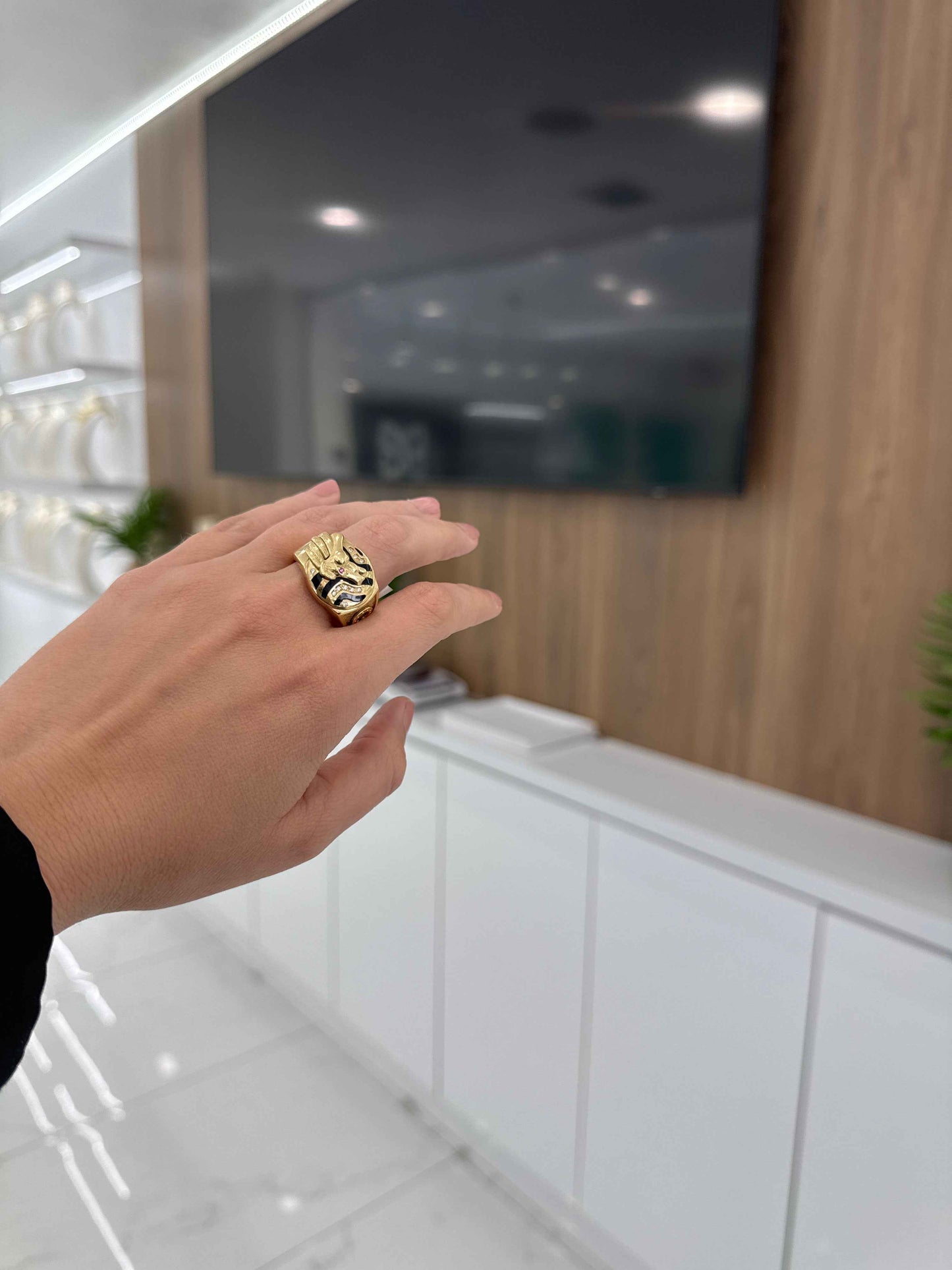10K Horse Ring