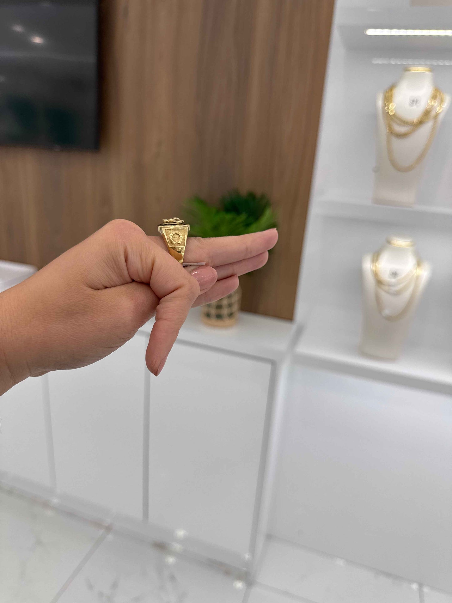 10K Horse Ring