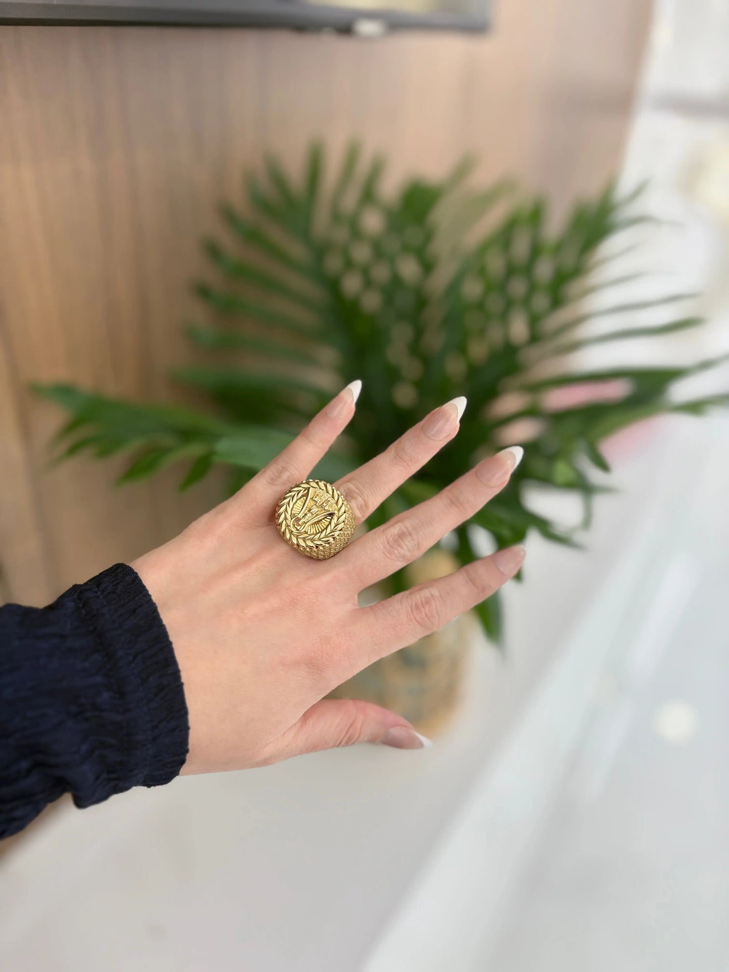 10K San Lazaro Ring My Store