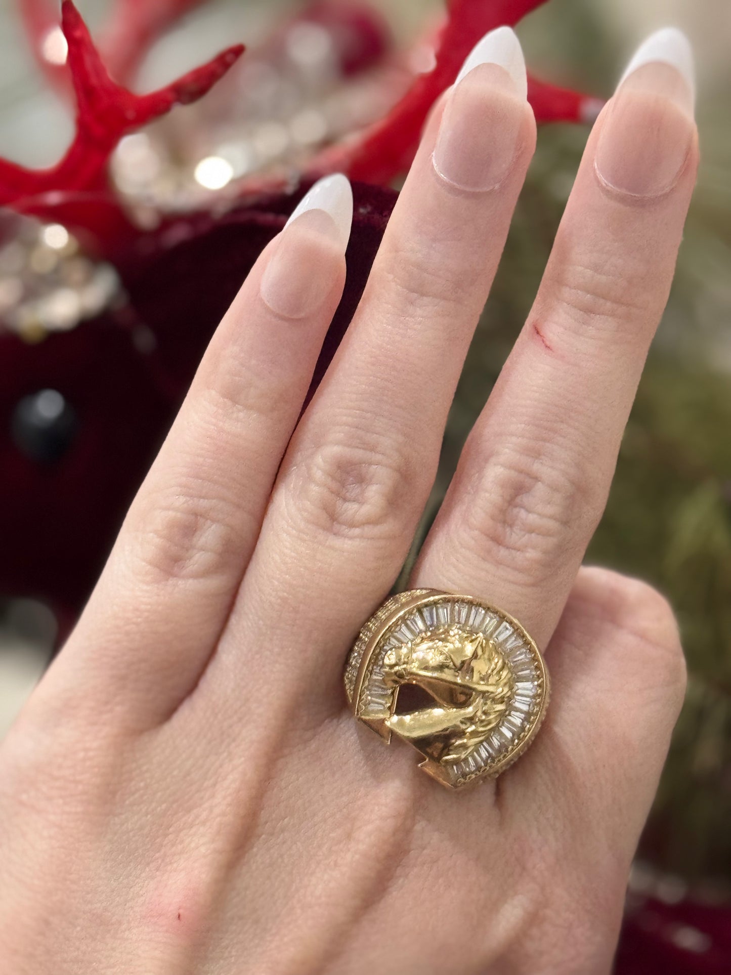 10K Horse Ring My Store