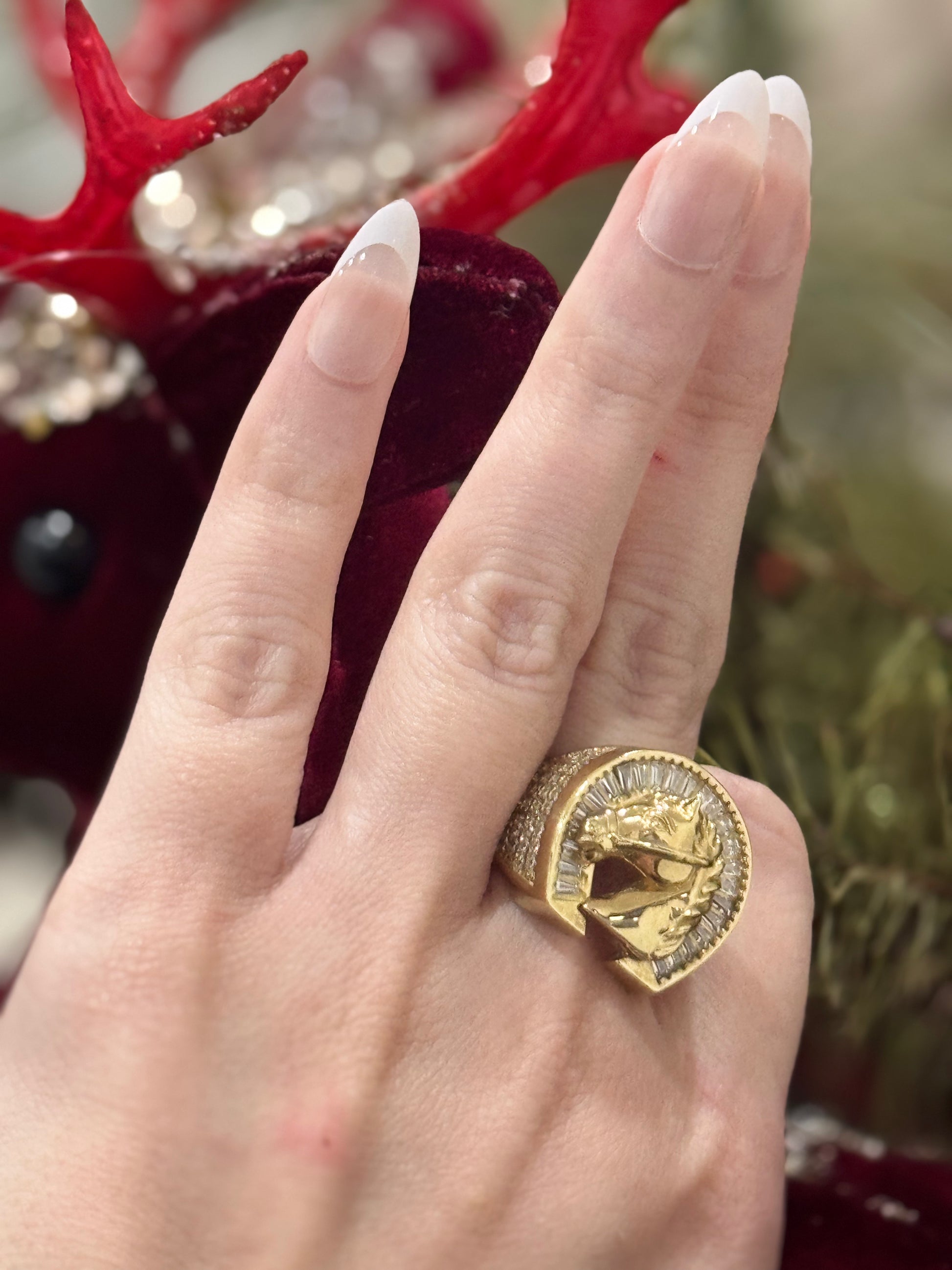 10K Horse Ring My Store