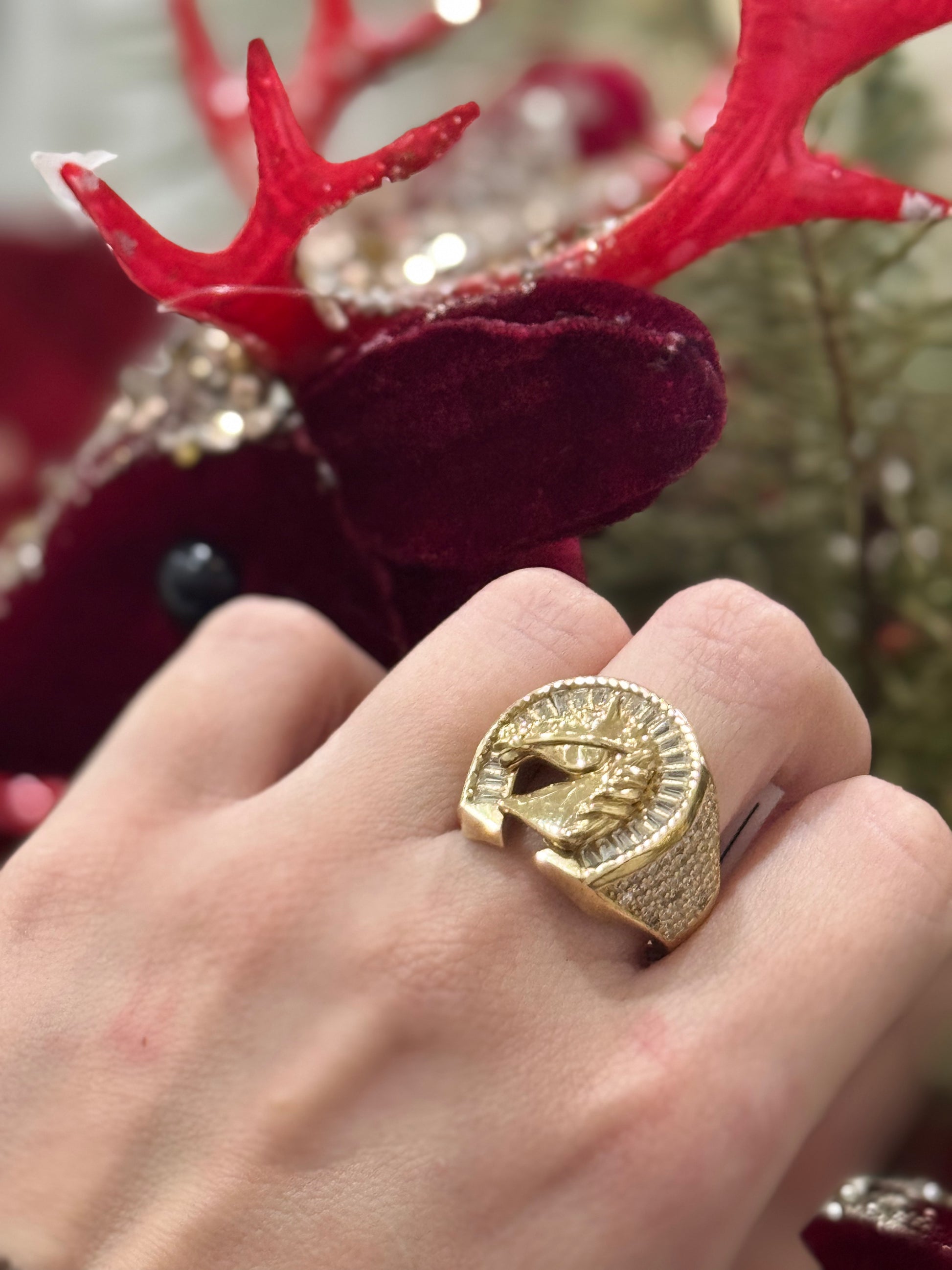 10K Horse Ring My Store