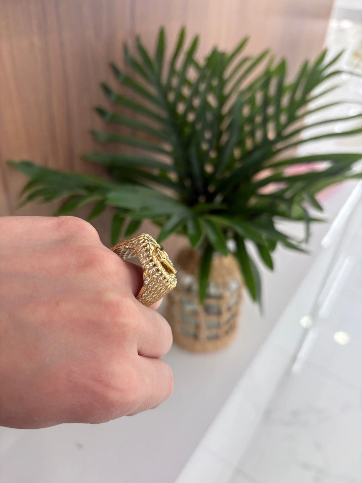 10K San Lazaro Ring My Store