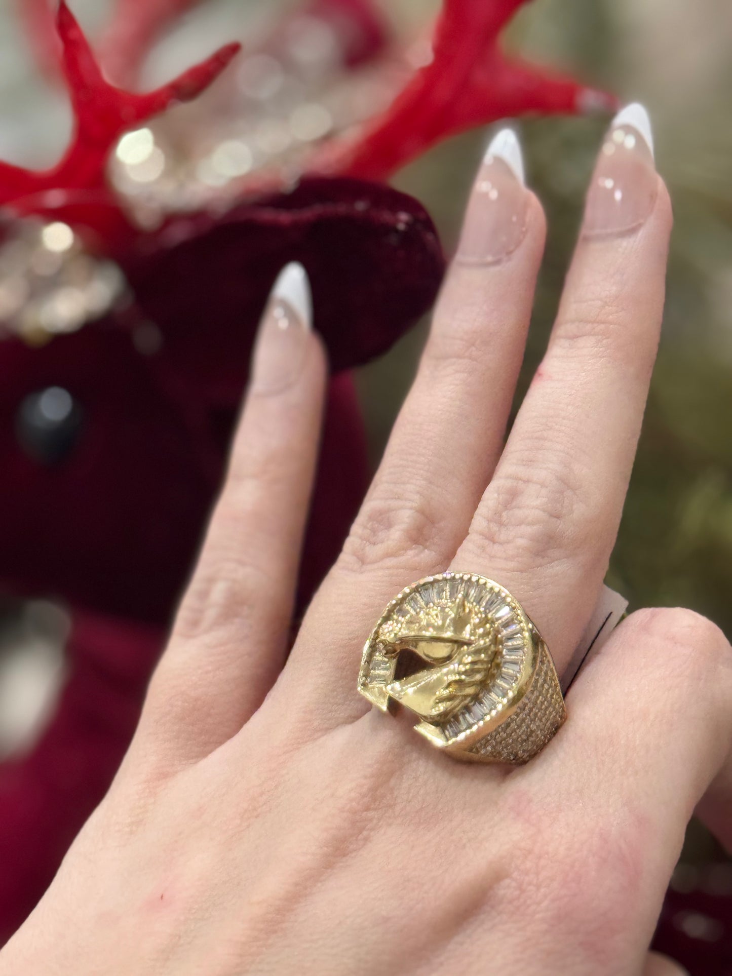 10K Horse Ring My Store